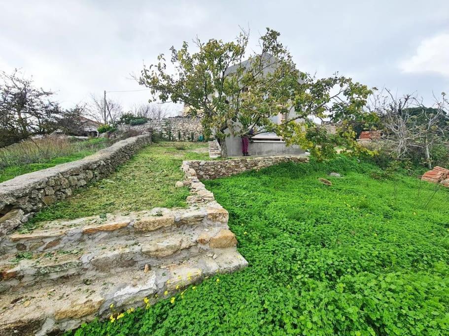 Вілла Hidden Gem Of 1900, 7Km From Sea Potamos  Екстер'єр фото